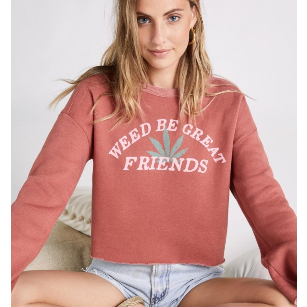 Wildfox Weed Be Great Friends sweatshirt